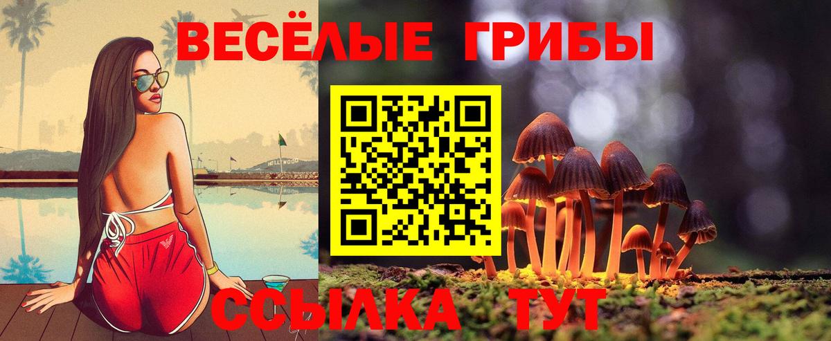 Шатура  Галлюциногенные грибы Psilocybe  Вход с VPN 